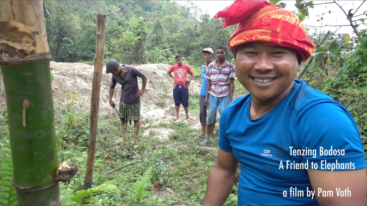 Tenzing Bodosa: a Friend to Elephants