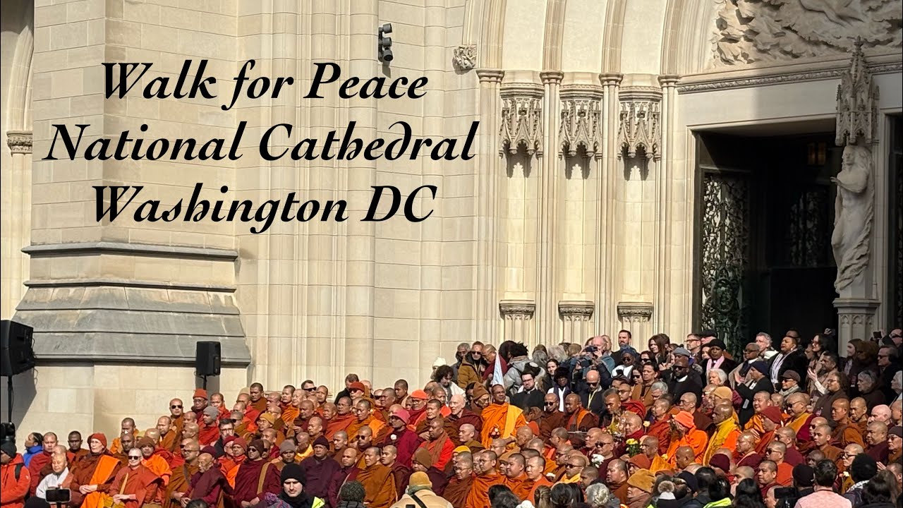 🕊️ Bhikkhu Bodhi speaking of Peace at Washington National Cathedral. 