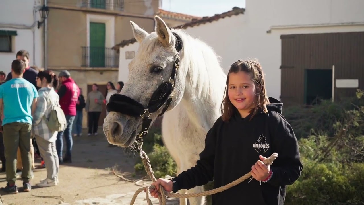 Sant Antoni Villores 2025