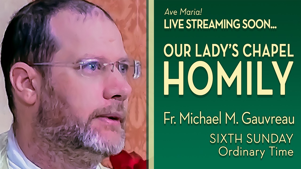 Sixth Sunday in Ordinary Time - February 15, 2026 - OLC Sunday HOMILY