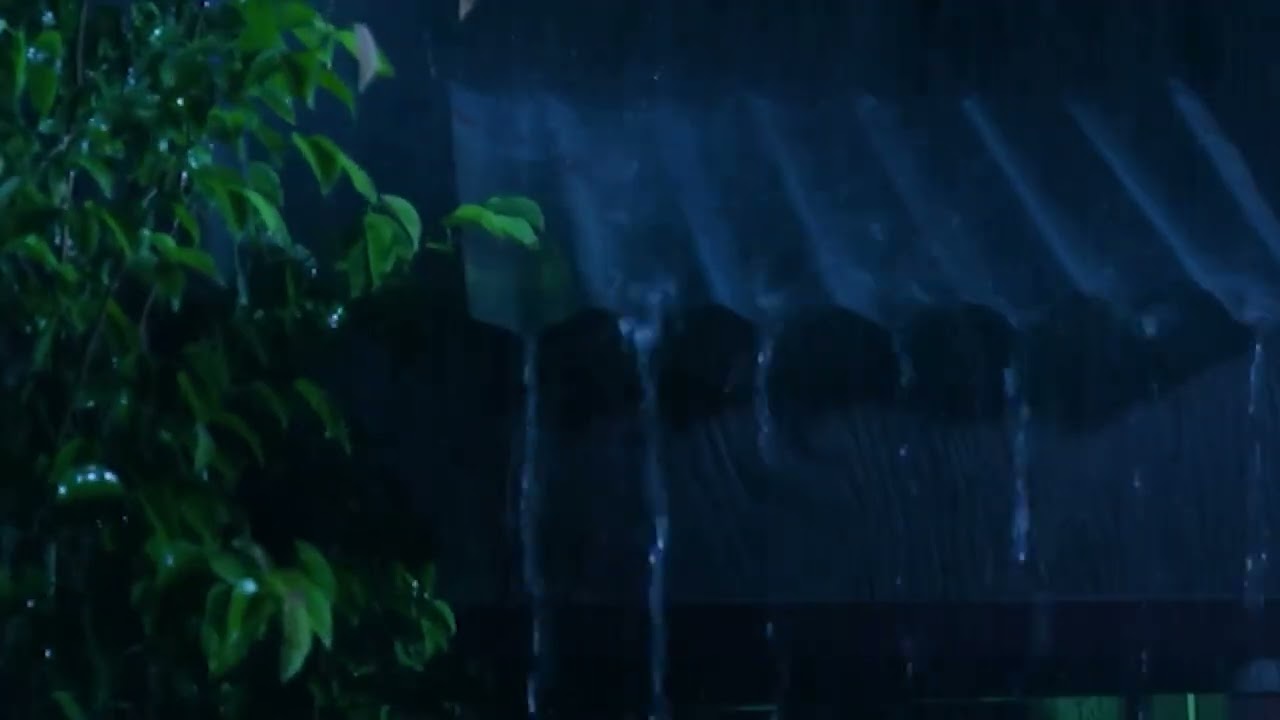 Pure Roof Rain Under the Dark Sky | Natural Night Rain Ambience