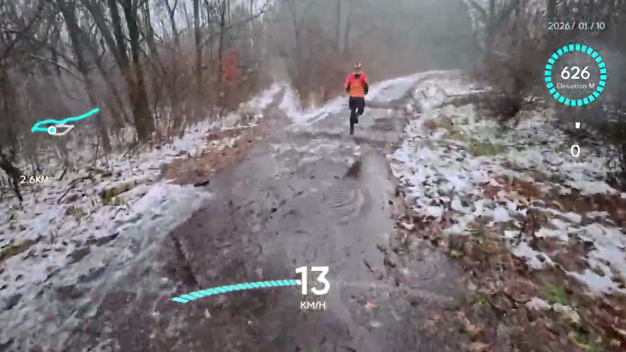 5kmRun Западен парк за амфибии