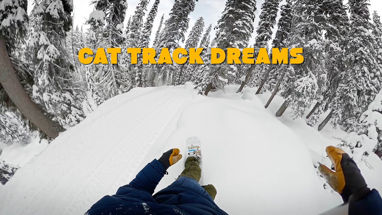VALHALLA Cat Track's | ASMR shredding through the woods