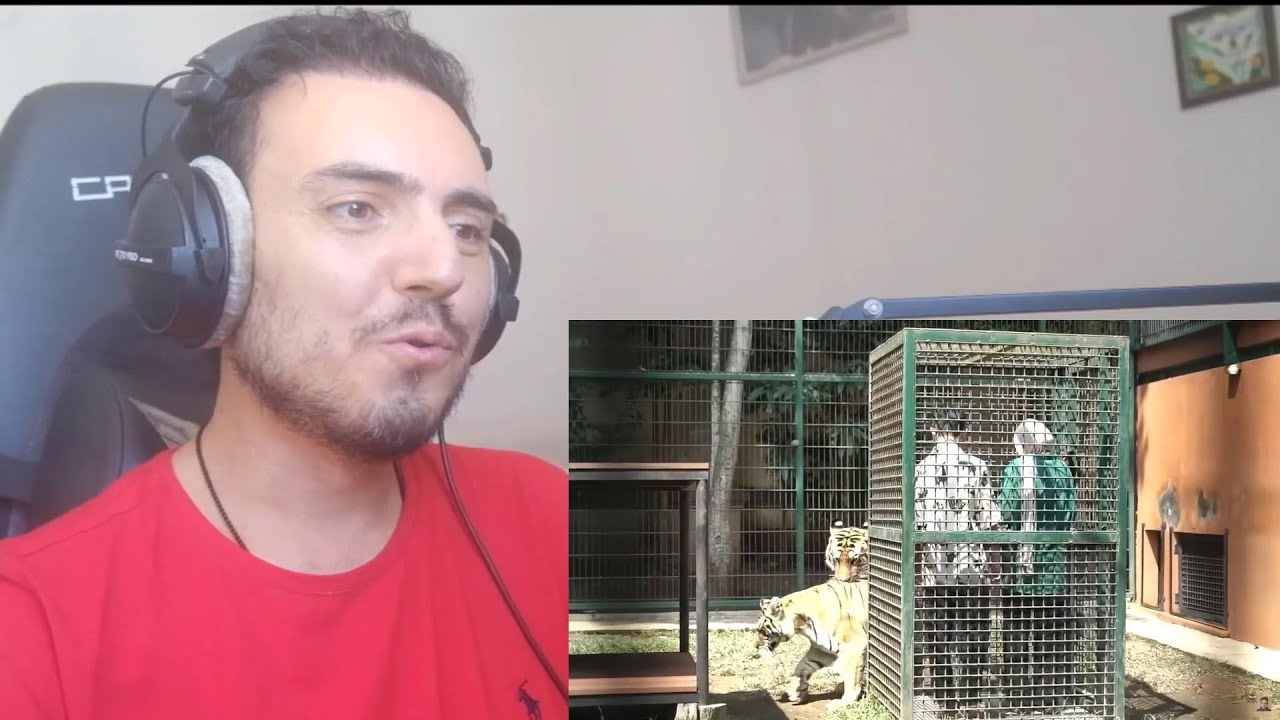 Fiki Naki | Akhirnya Aku Sama Tugba Main Kerumah Alshad Ketemu Selen, Ehsan & Jinora !!!🤗Reaction
