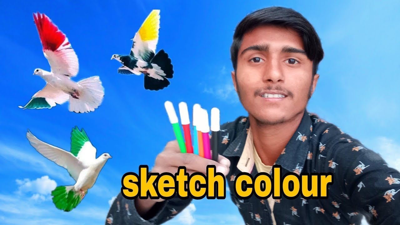 Kabootar ko kaun sa colour Lagate Hai || Kabutar ko karne wala color kahan Milta Hai ||