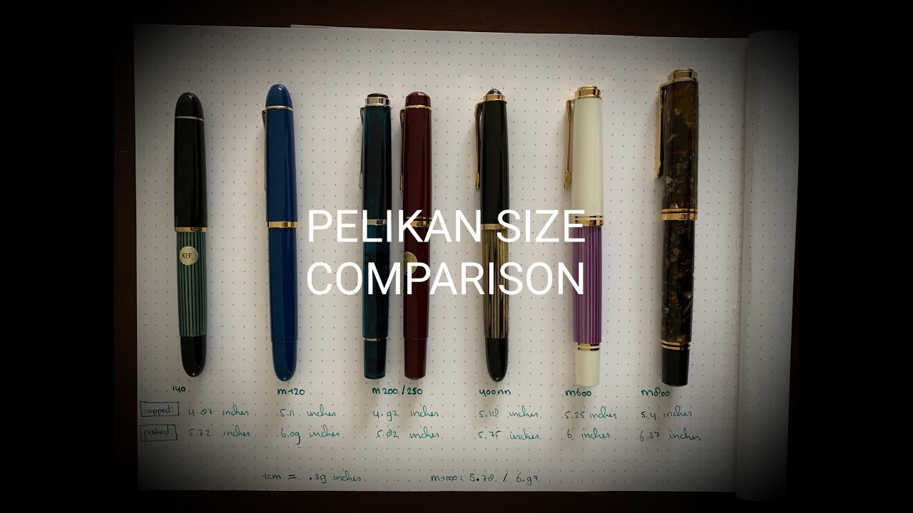 Pelikan Size Comparison