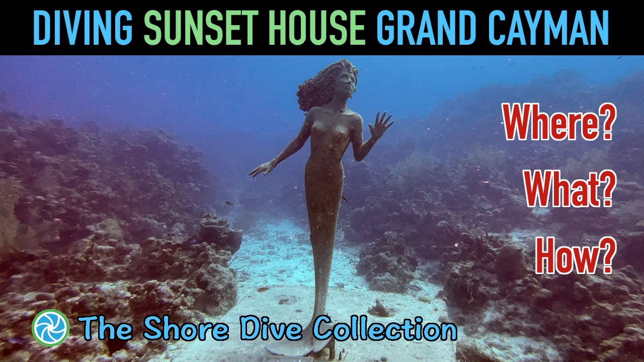 Diving Sunset House Grand Cayman | The Shore Dive Collection | TropicLens   - 4K