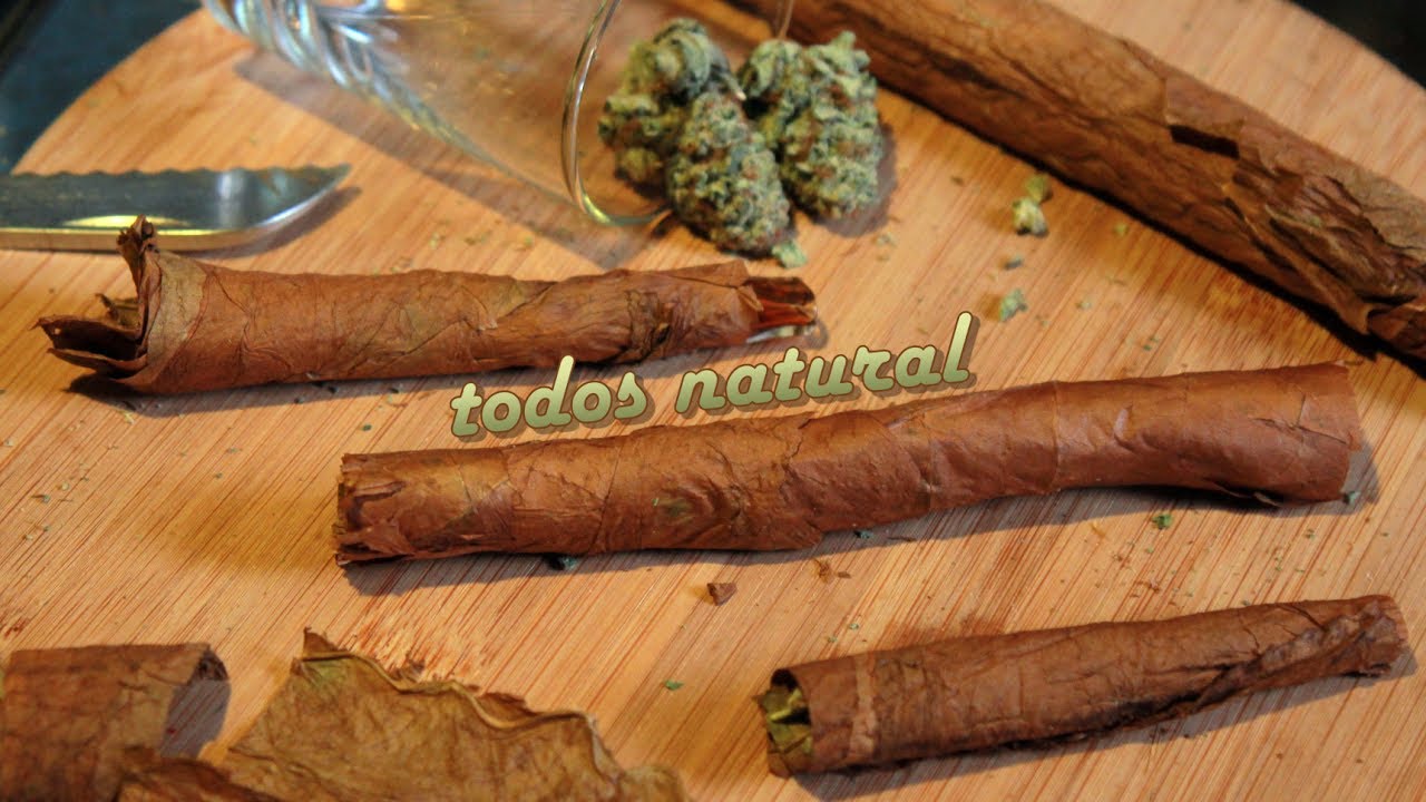 Todo Natural (Blunt Rolling with a Habana Montecristo Hand-Rolled Cuban Cigar)
