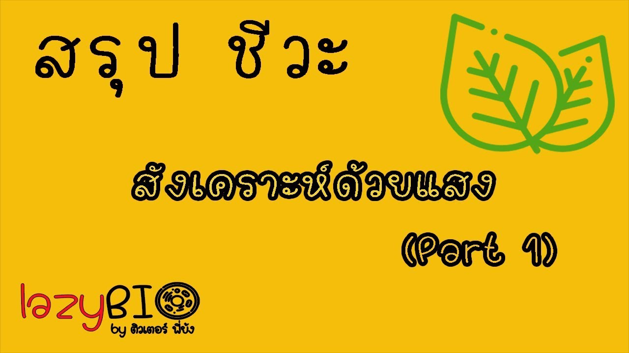 สรุปชีวะ การสังเคราะห์ด้วยแสง ep1