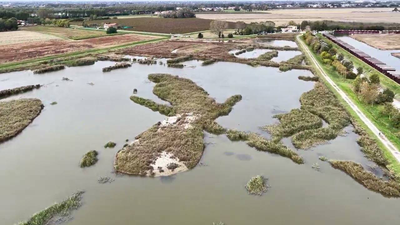 Parco delle Giare - Mira (Ve)