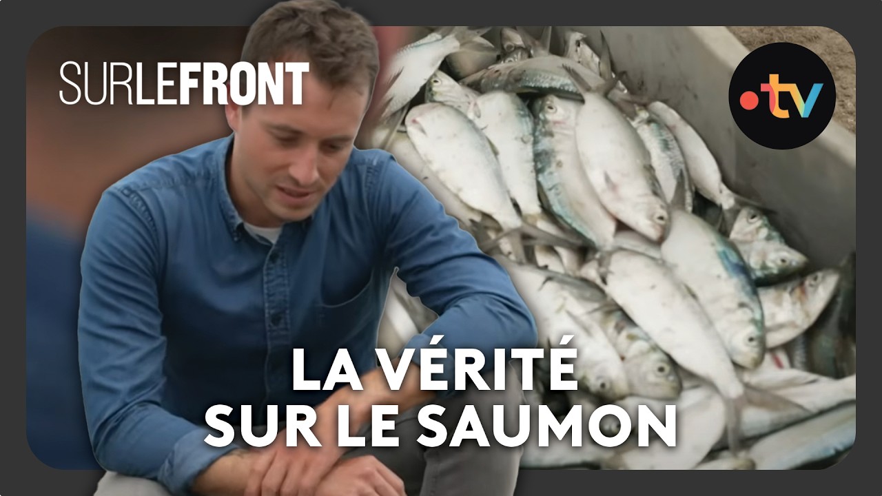 La vérité sur le saumon (Intégrale) - Sur le front avec Hugo Clément