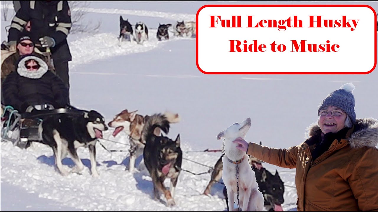 P & O Aurora | Northern Lights Husky Excursion Full Ride With Music