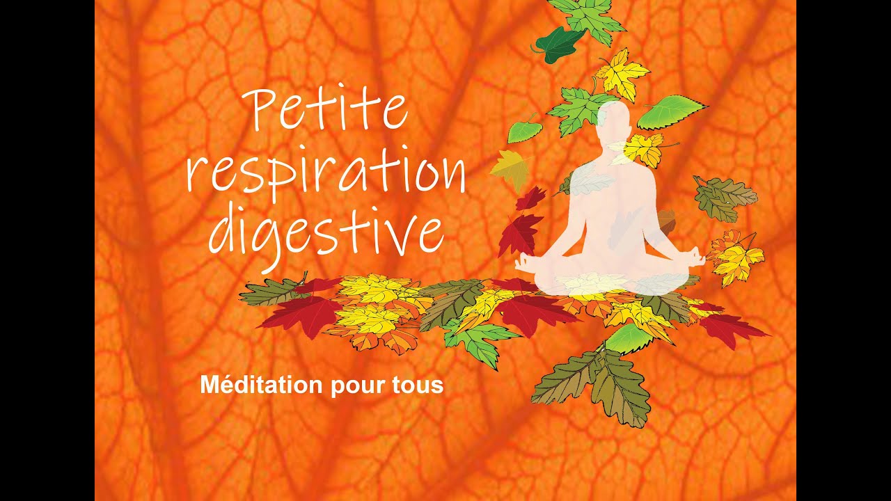 Petite respiration digestive   Méditation guidée   Sophrologie   Parasympathique   Nerf vague