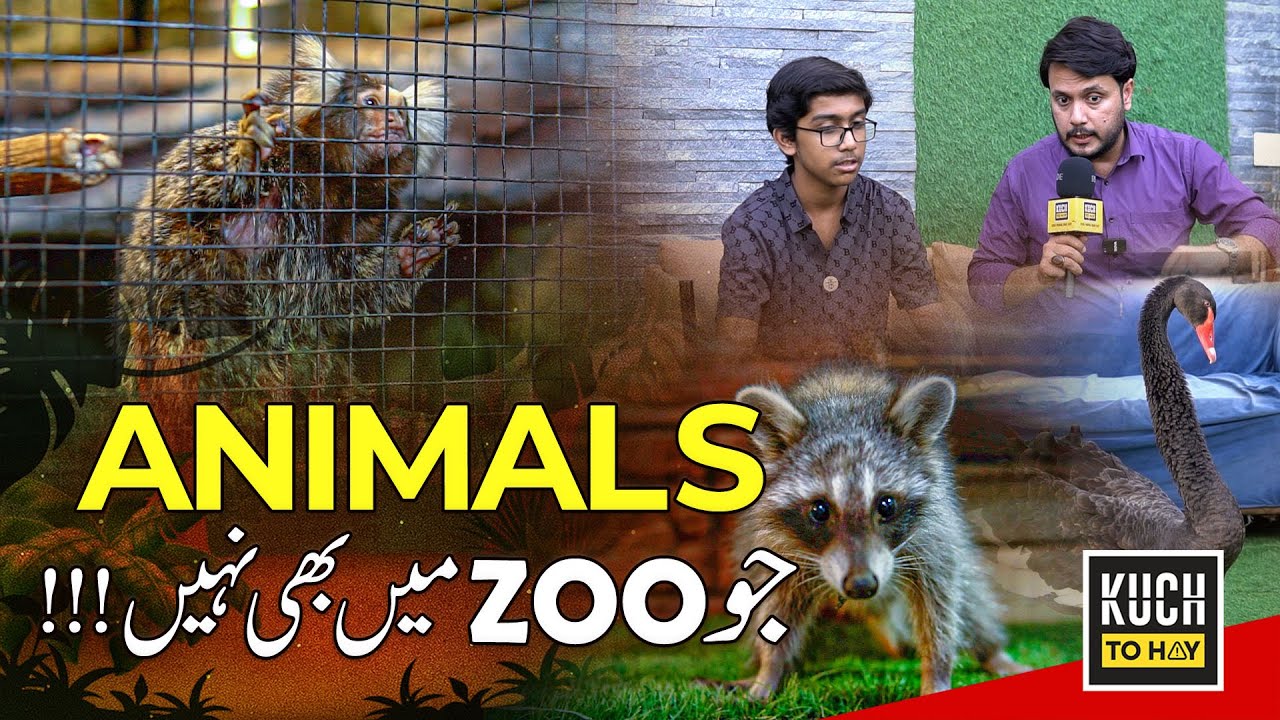 Unbelievable Rare Animals in Pakistan | Farmhouse Zoo You&rsquo;ve Never Seen Before