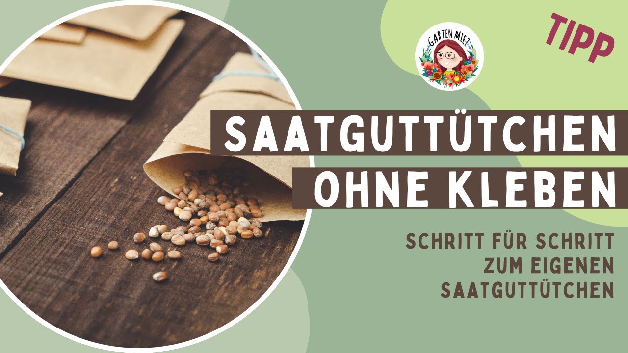 Saatgutt&uuml;tchen falten &ndash; ganz ohne Kleben! 🍁 DIY-Anleitung zum Mitbasteln