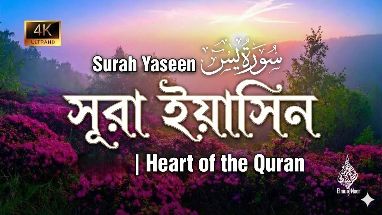 Surah Yaseen | Beautiful Quran Tilawat | सूरा यासीन | সূরা ইয়াসিন | #yasinsurahfull #quran