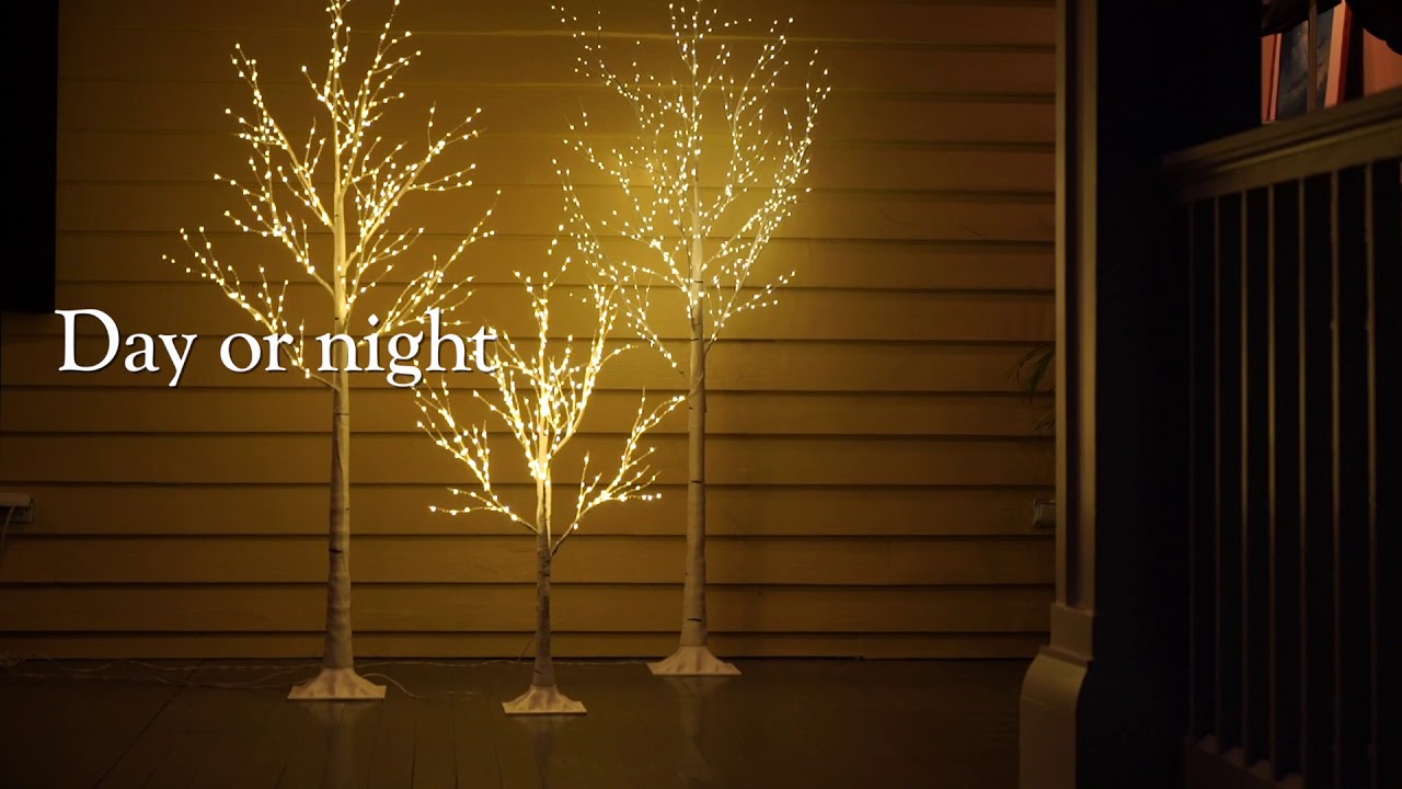 Indoor/Outdoor Birch Tree with Micro Lights SKU# 65D34 - Plow & Hearth