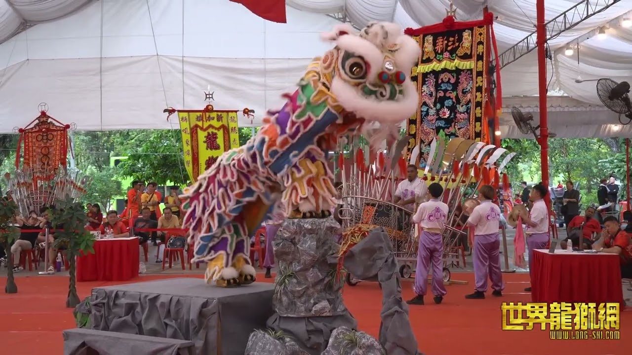 新洋体育会