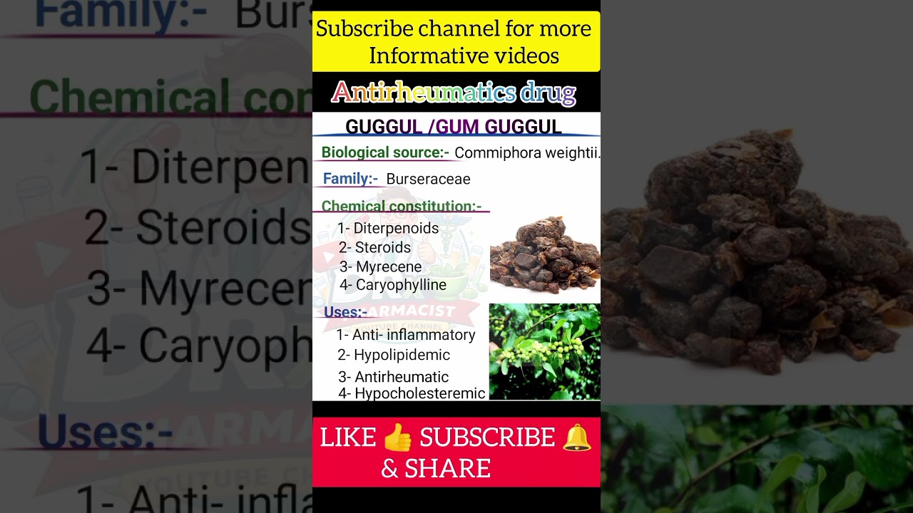 Guggul/ scented bdellium||Antirheumatics drug||Biological source, use, family, chamical constitution