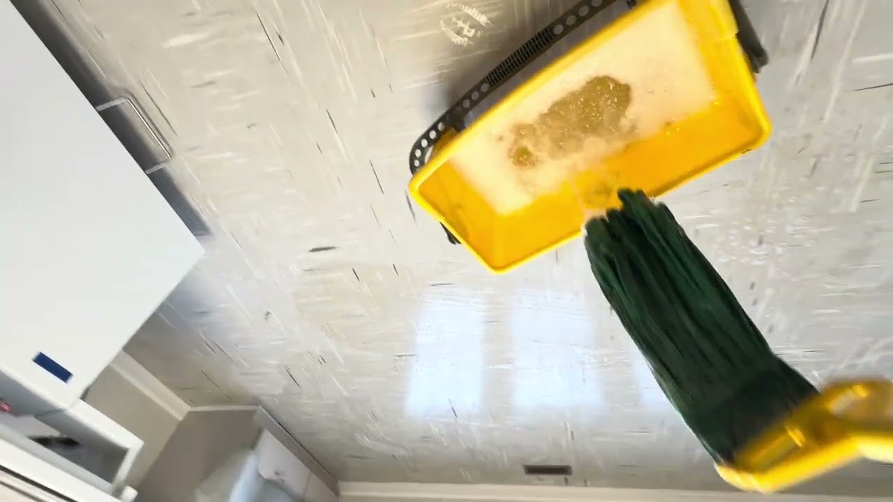From Construction Chaos to Clean Floors | Scrub & Coat on New VCT Tile (Vet Facility)