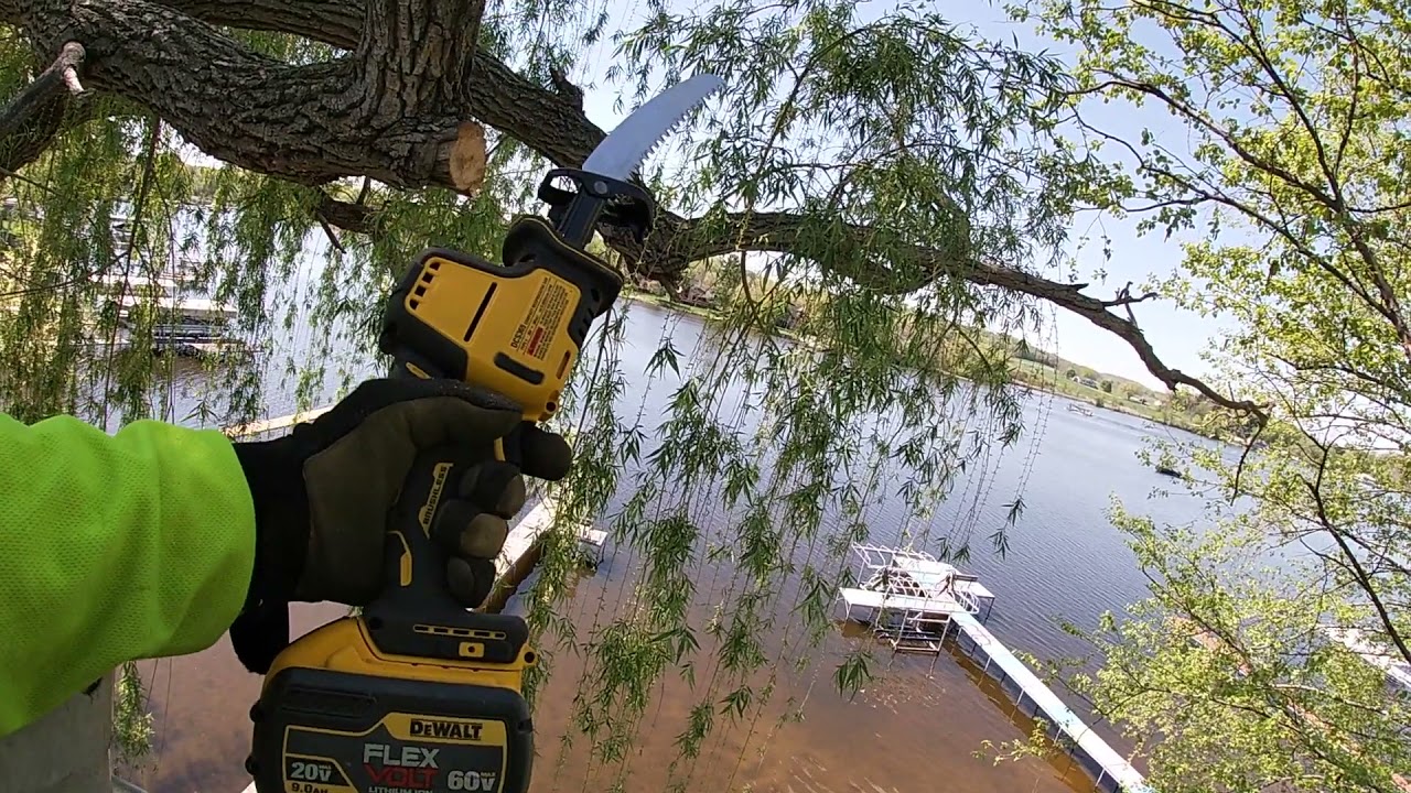 Dewalt One Handed Saw Review