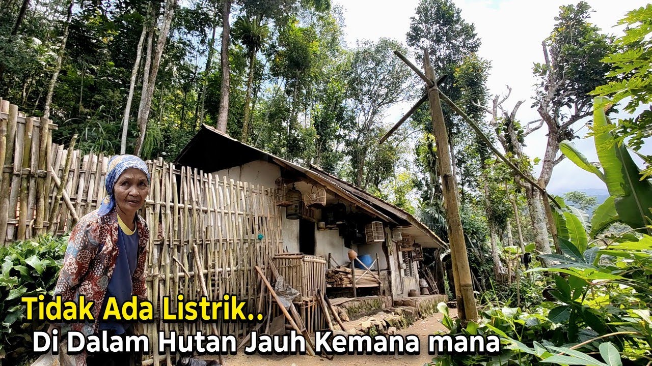 Kaget.. Jumpa Seorang Nenek Tinggal di Rumah Terpencil di Dalam Hutan