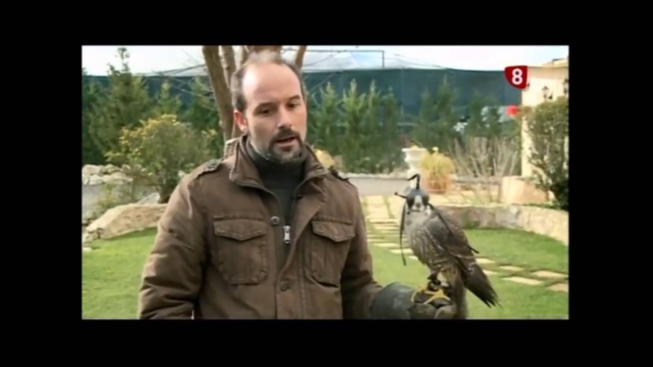 ENTREVISTA POR  CASTILLA Y LEÓN A: ,NEBLI CENTRO DE HALCONES / www.neblicentrodehalcones.com