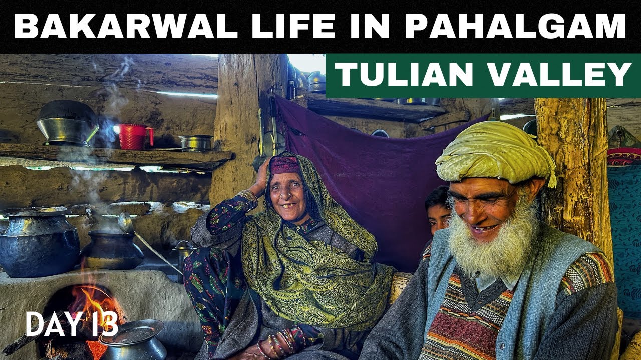 Ep-13 Bakarwal Life Never Seen Before | Kashmiri Tribal Life | Tulian Valley Pahalgam | Kashmir Tour