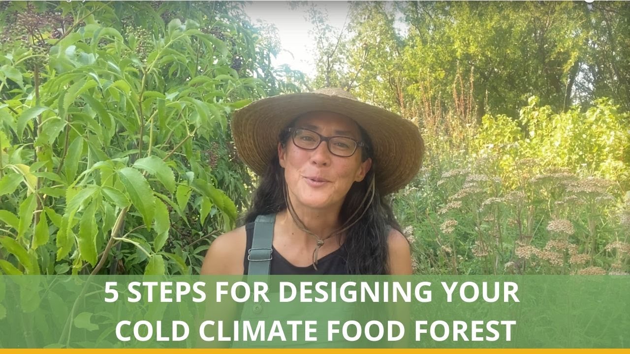 How to Design your Cold Climate Food Forest