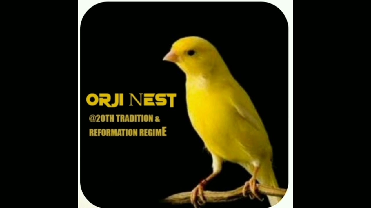 Orji nest - 20th Tradition nd reformation regime