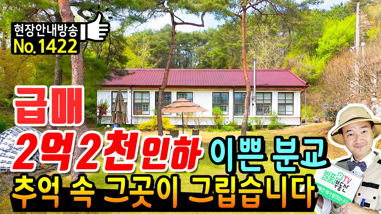 (급매) 배타고 학생들이 다녔던 곳 추억 속 아련히 떠오르는 전북 임실 폐교 학교 매매 이쁜 전원주택 겸 작업실로 이용 중 카페 가능 특별한 공간 임실부동산 - 발품부동산TV