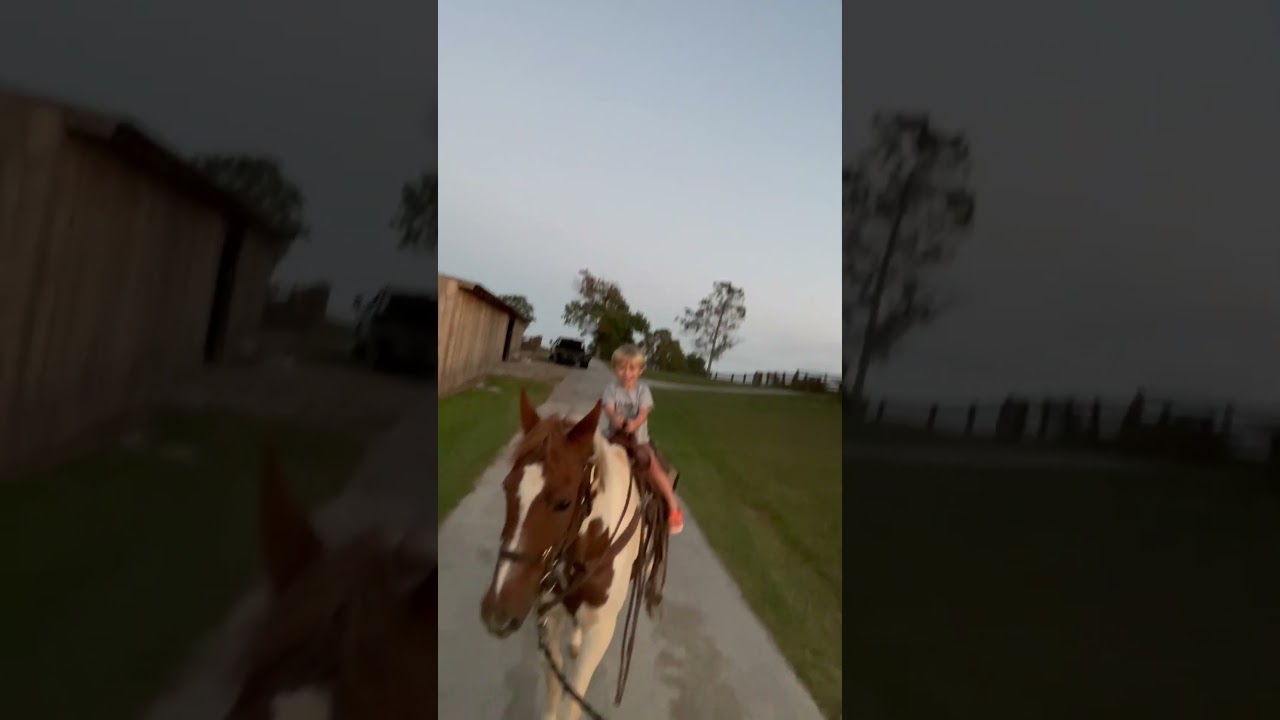 #farm