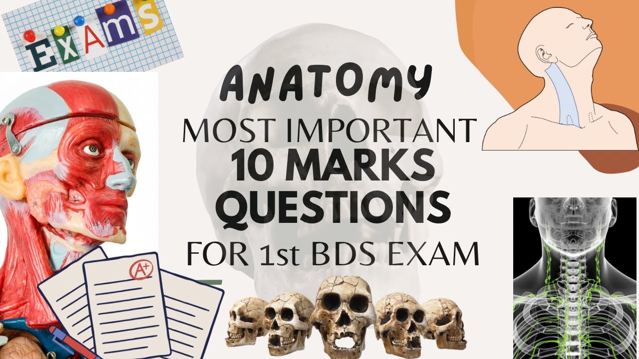 ANATOMY MOST IMPORTANT 10 MARKS QUESTIONS FOR FIRST BDS EXAM RGUHS #dental #youtube #viral#dentistry