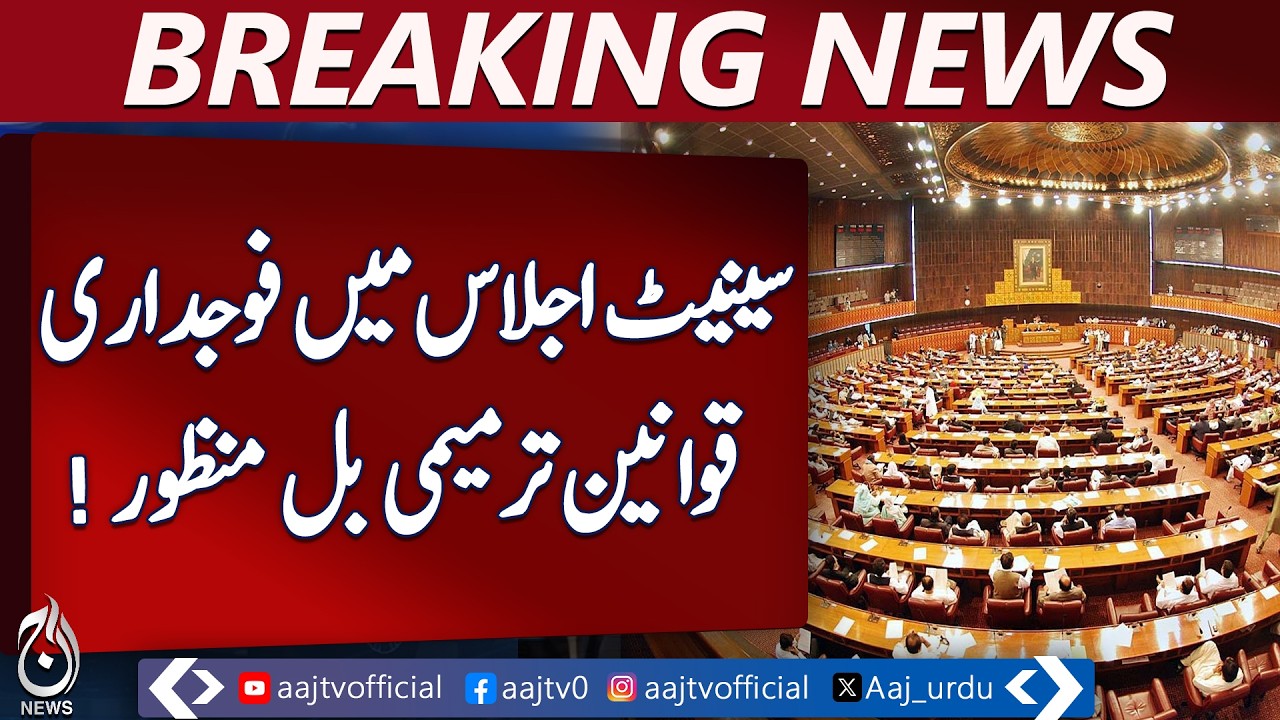 Criminal Law Amendment Bill | Senate Passes New Legislation | Pakistan Law Update -Aaj Pakistan News