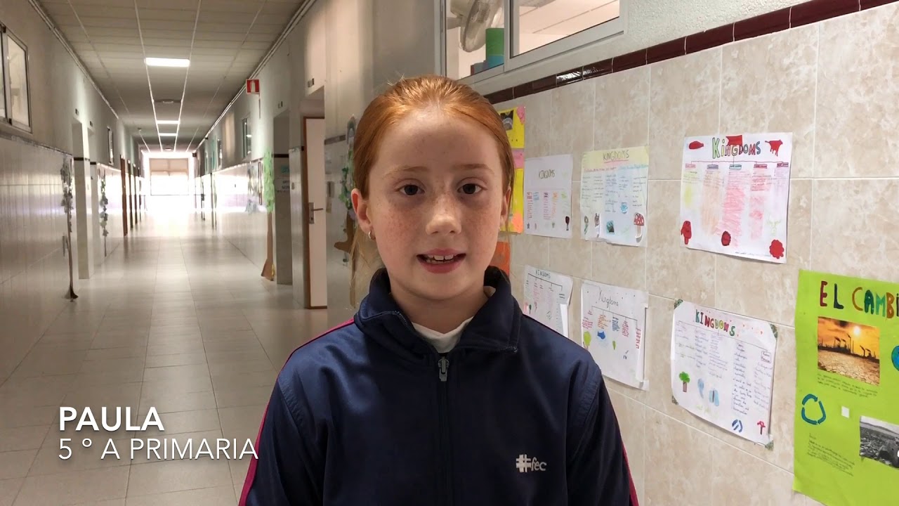 Día escolar de la paz y la no violencia - 2019