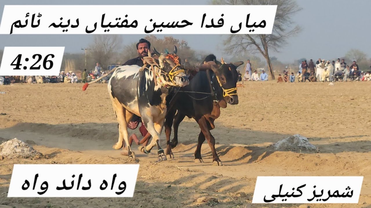 Mian fida hussain muftiyan dina | dand shahensha | mela chaniot pandori 2026