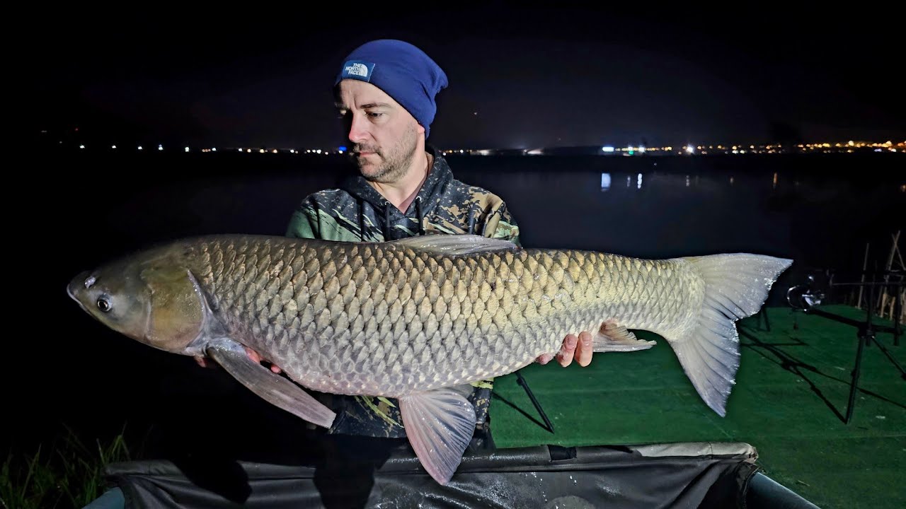 Pescuit la Crap pe lacul OZONE LAKE - Paște 2025 - 72 ore  #katranfishing #ozone #pescuitlacrap