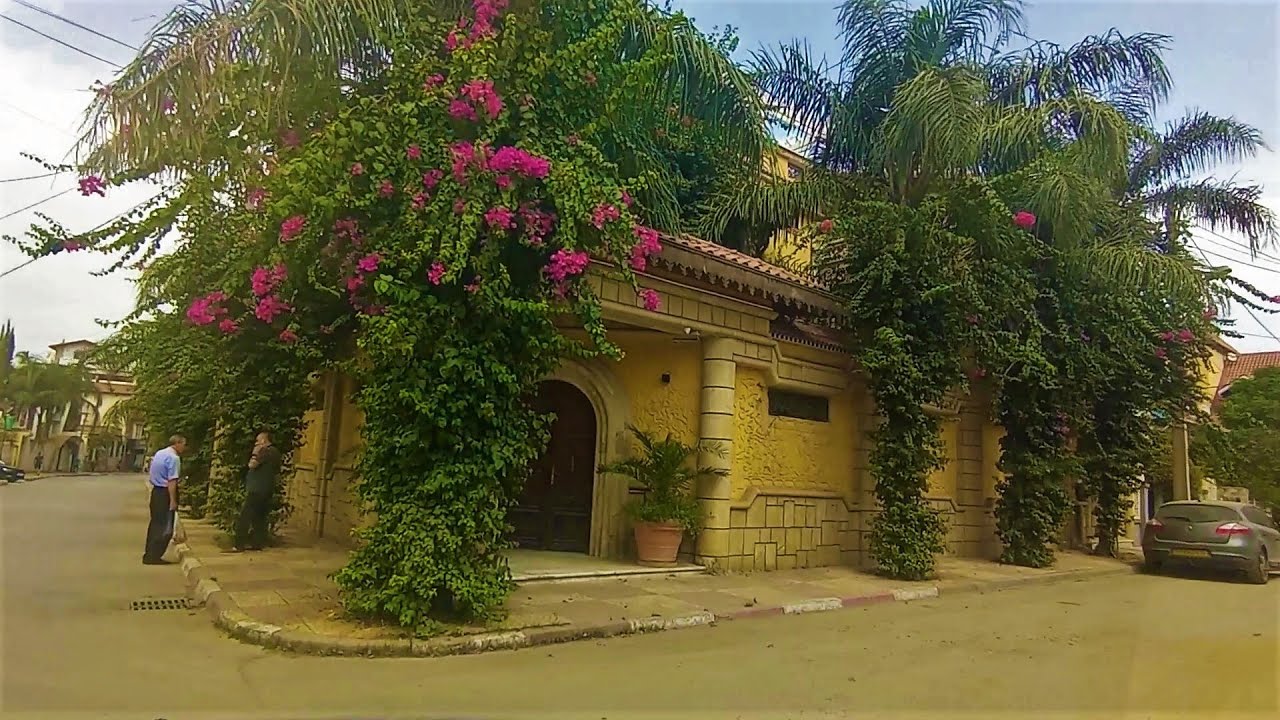 جولة هايلة في حي الفلات بالبليدة👍🌴🌾SCENIC DRIVE