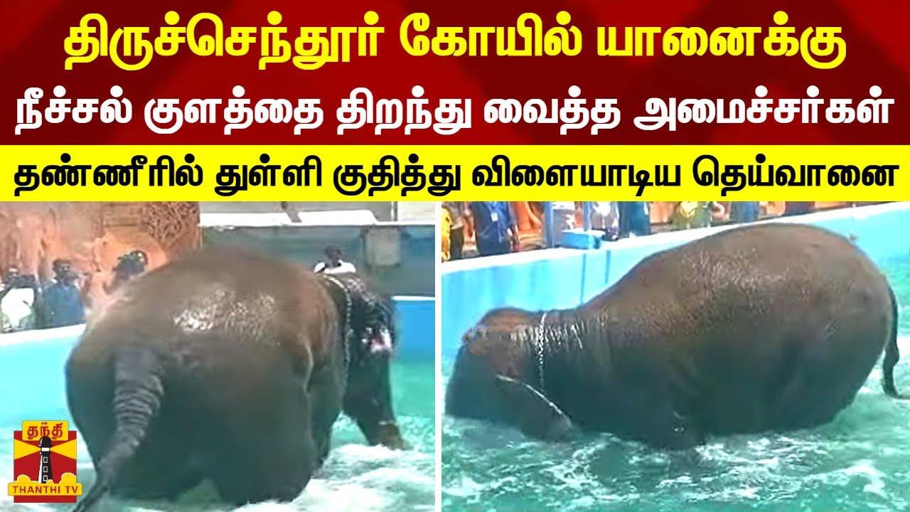 திருச்செந்தூர் கோயில் யானைக்கு நீச்சல் குளத்தை திறந்து வைத்த அமைச்சர்கள் | Thiruchendur | Elephant
