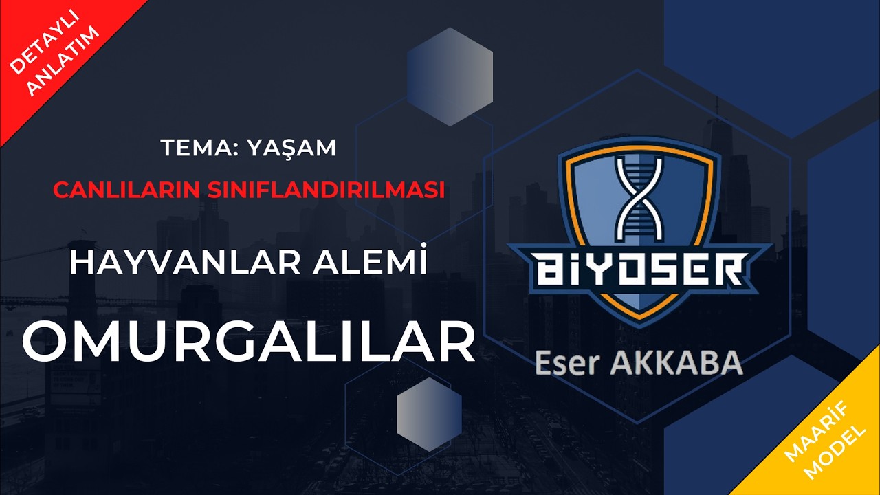 OMURGALI HAYVANLAR - CANLILARIN SINIFLANDIRILMASI | 9. Sınıf ve TYT Biyoloji