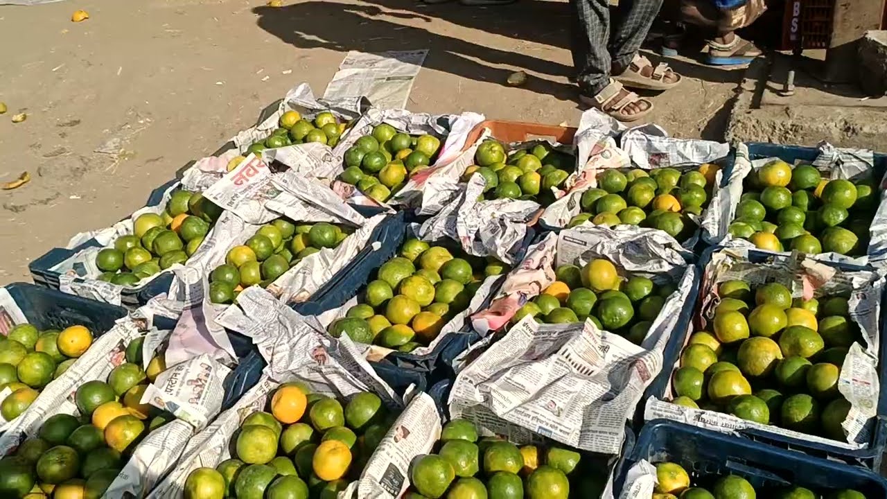 #today #12 March 2026 Orange Live Auction Biggest Wholesale Fruit Market of Hyderabad
