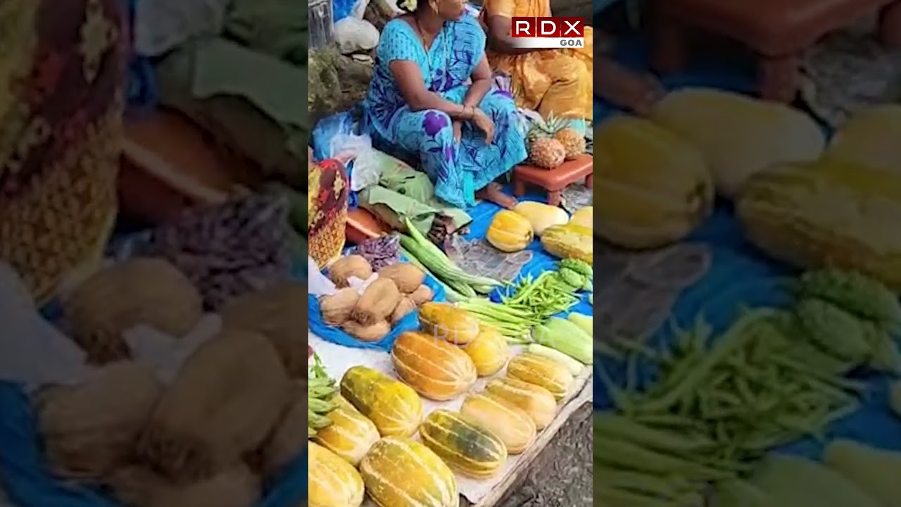 Mashmelon Season Brings Fresh Local Produce to Margao Market #breakingnews #goanews