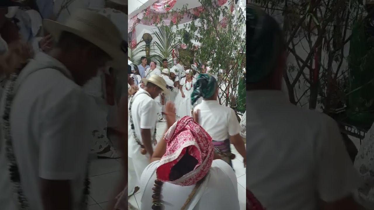 CATIMBÓ JUREMA - 35 ANOS DE JUREMA DE PAI FREITAS