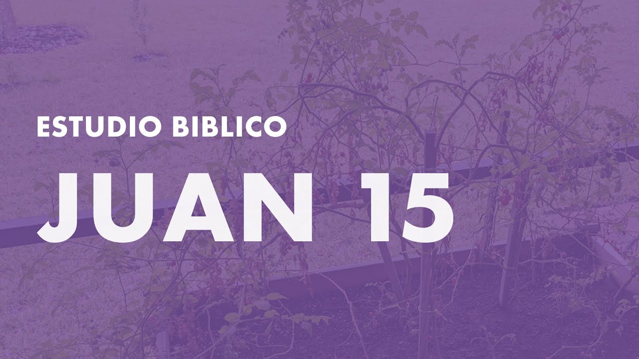 Juan 15 - La importancia de estar conectado a Cristo