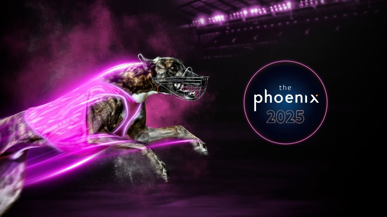 Phoenix 2025 | Racing.com