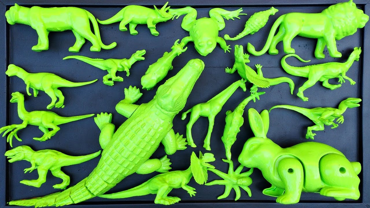 🔴 Clean Up Muddy Dinosaur Animals❗Giganotosaurus, Tyranosaurus, Tryceratops, Stegosaurus, Oktopus
