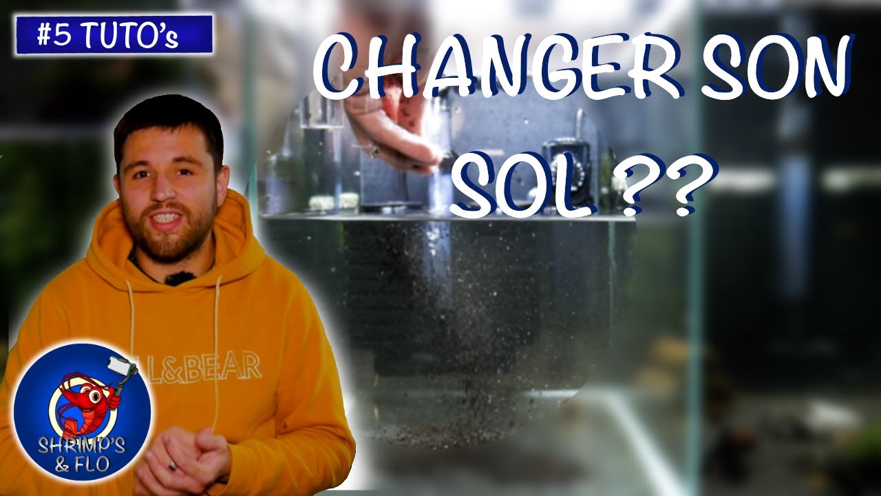 Comment changer son sol ? - Aquarium à crevettes [Tuto]