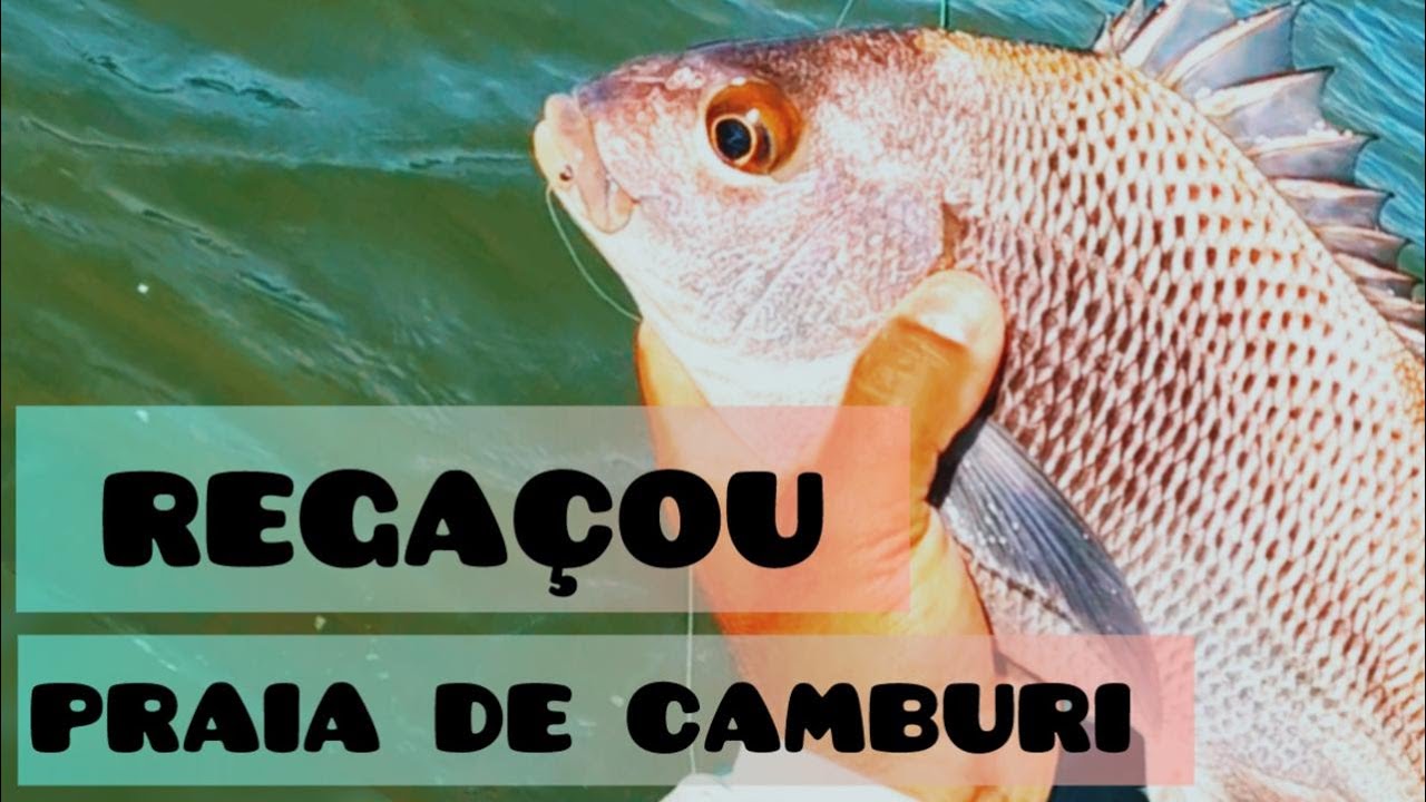 PESCA EM CAMBURI - CAIAQUE - VITÓRIA / E.S #pescaria #pesque #pesca #fish #fishing #wildlife