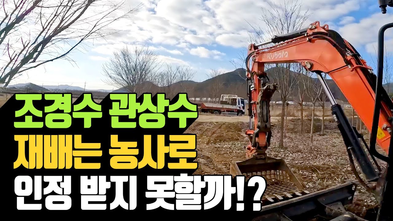 조경수 관상수 재배는 농사로 인정받지 못할까 | 나무대장🌳 나무농사의 모든것