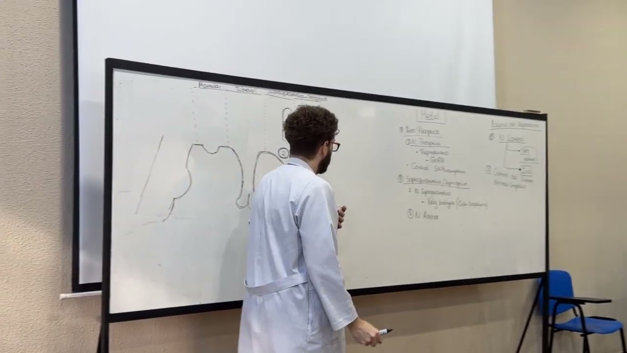 Fisio AII - aula 10 - parte 1